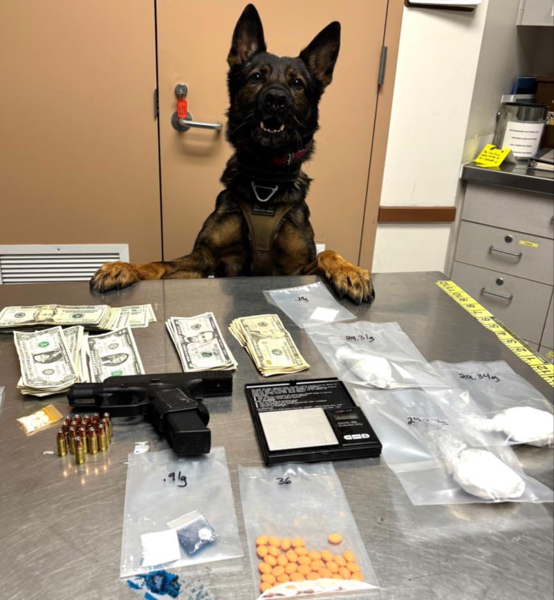 Last Friday, just after 10 p.m., Livermore Police stopped the driver of a BMW SUV near Vasco Road and Northfront Road for a traffic violation. During the stop, the officer noticed items inside the vehicle consistent with drug sales.

K9 Drake was called to assist and alerted