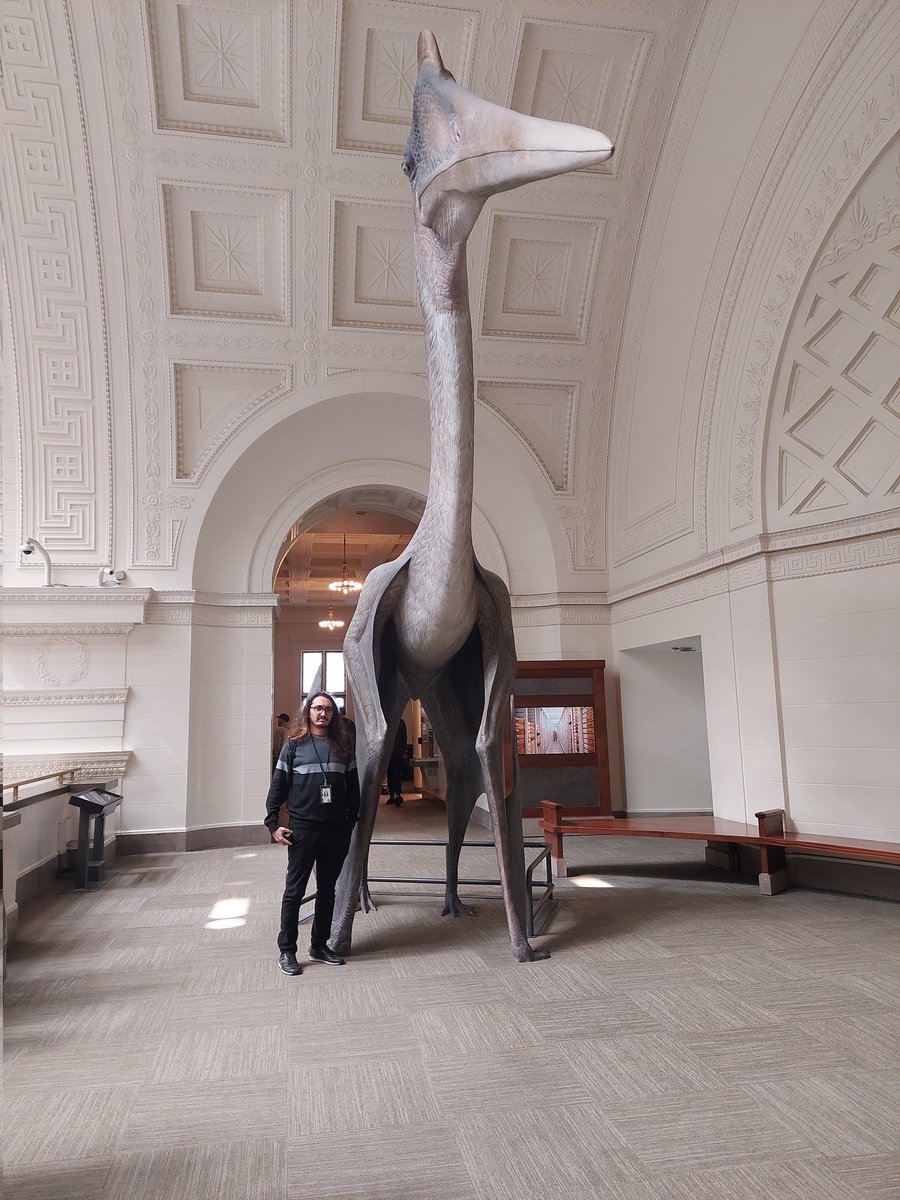 Smol  boi

<a href="/FieldMuseum/">Field Museum</a>