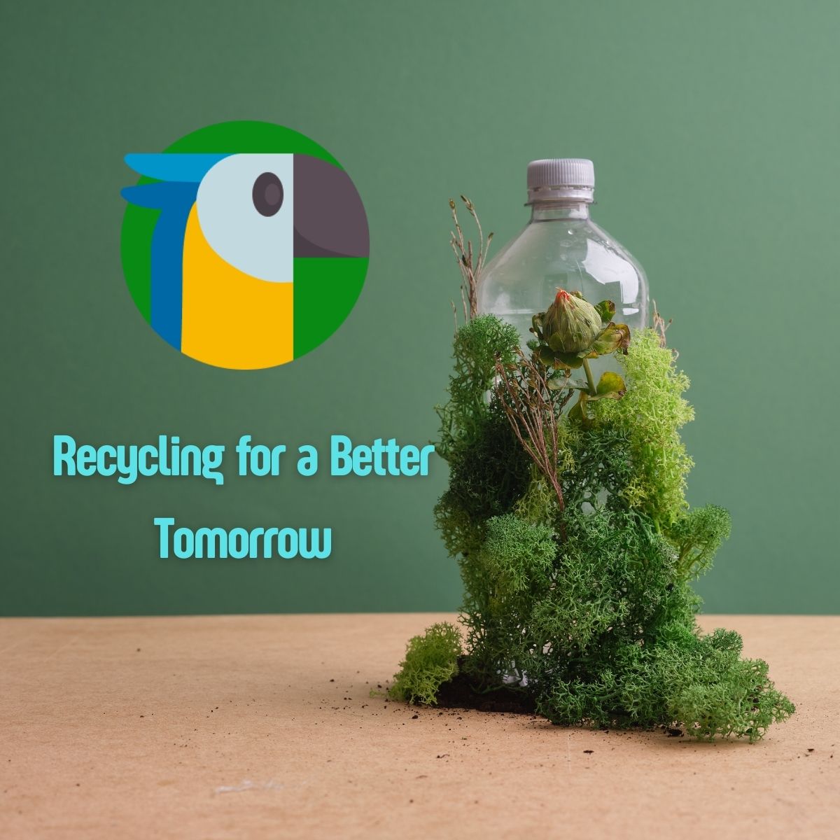 AraracoinX's tweet image. Recycling helps reduce waste and conserve resources. ♻️ Small actions can make a big impact. #WasteNot #EcoSolutions