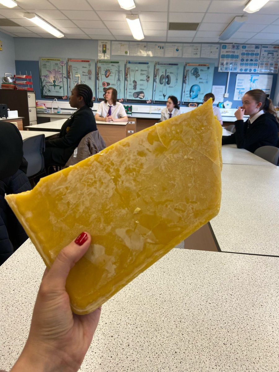 What a great session from Dawid, our former head boy and owner of DC Hive products, on his wax business. Some practical experience for our beekeepers too making their own candles. Environmentalism, entrepreneurship and new skills aplenty 2/3