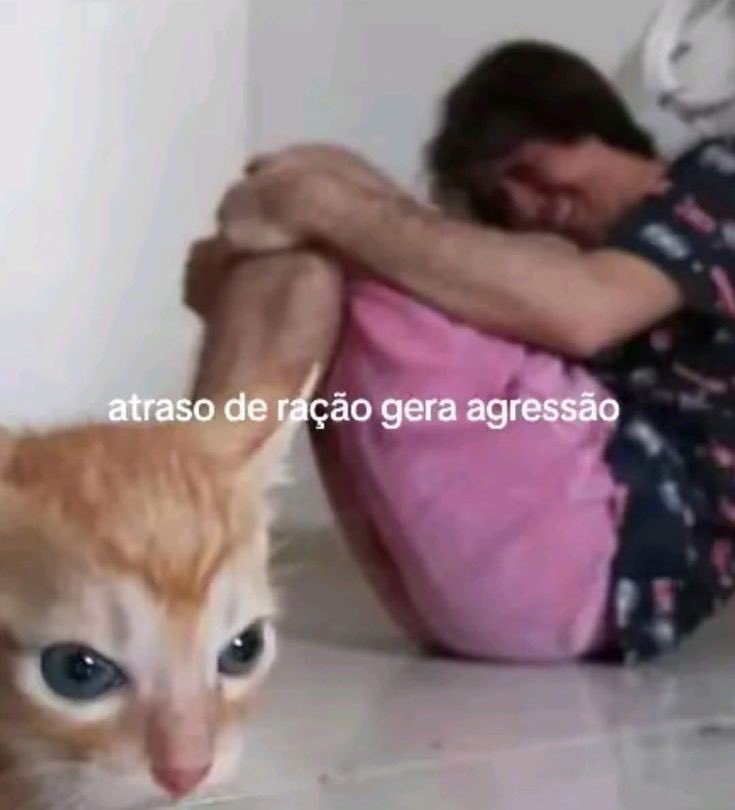 ATENÇÃO GATEIROSSSSSS  

Todo mundo que ama gatinhos quer sempre o melhor para eles né? Se liga então nessa thread com as melhores rações e os melhores petiscos que tem na Shopee.  

Achadinhos da Shopee pro seu gatinho sempre ficar de buxin cheio