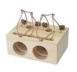 Virgili7's tweet photo. Consell de #boncatala del 24 de març:

Sabem que la bestiola de l'esquerra es diu RATOLÍ. 

Tanmateix, hi ha qui no sap que el parany per a caçar ratolins, rates, etc. es diu RATERA (també usat figuradament): "ratonera" és castellanisme, car cap animaló es diu "rató".

Que corri. https://t.co/kQN3LrviOj