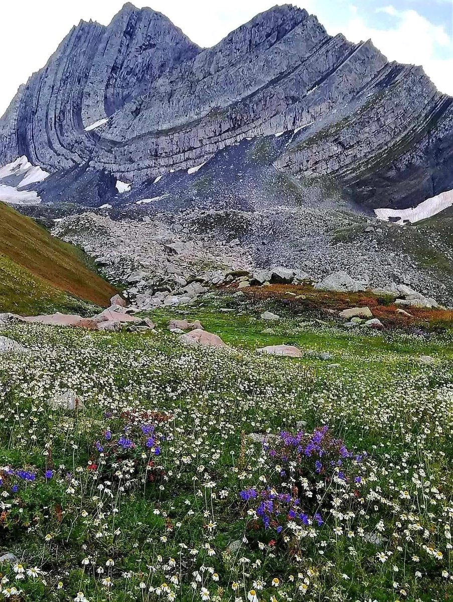Hoşgeldin Bahar…

Senklinal kıvrım yapısı, Gürcistan.
📷Geology for Beginners-fb