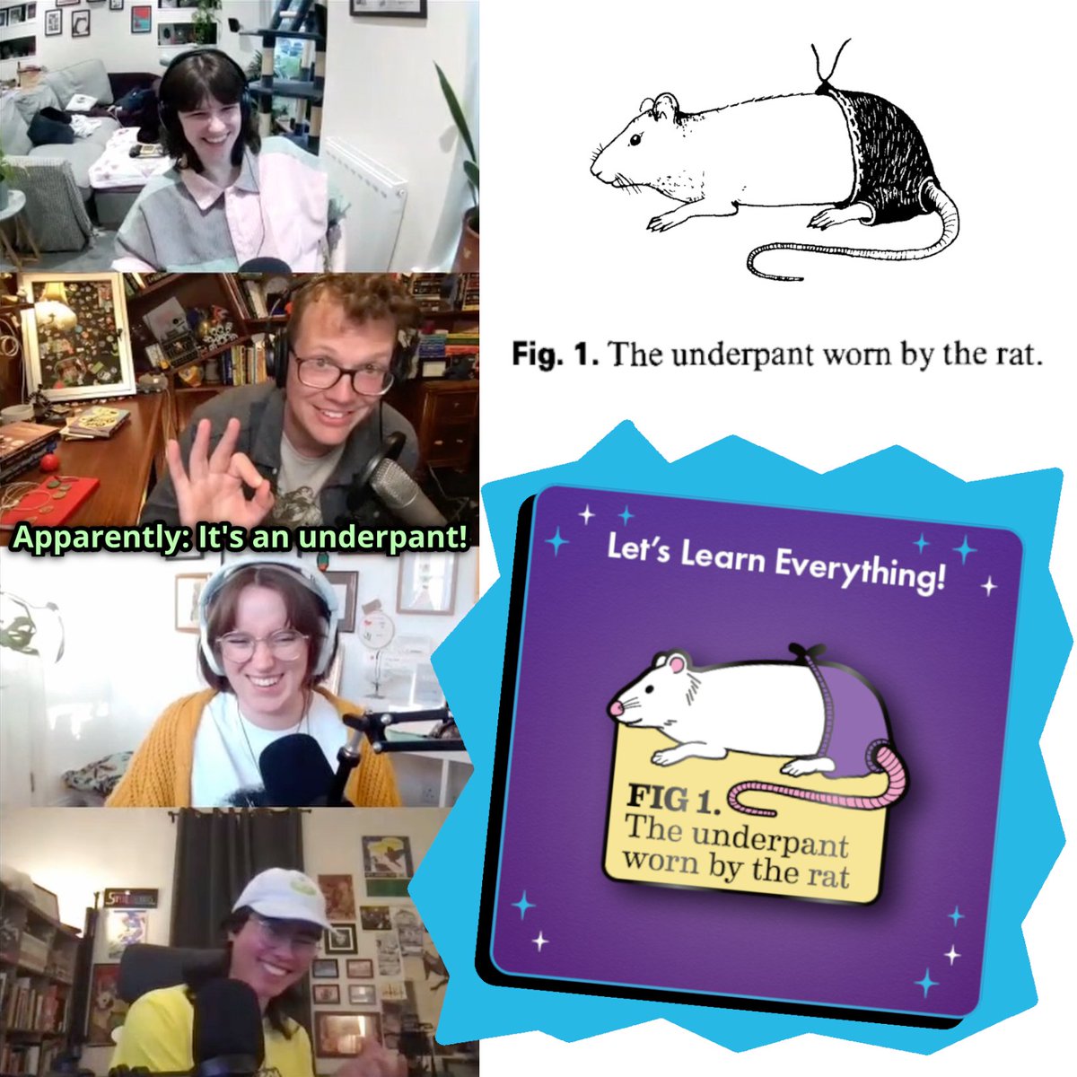 Let’s Learn Everything! tweet media