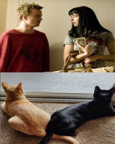 رِيح tweet media