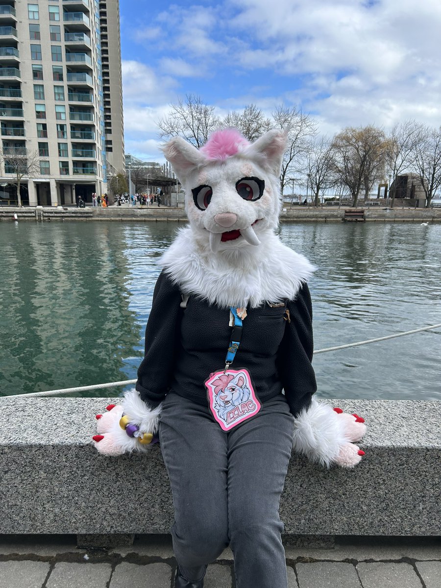 Radiothegrump's tweet photo. #furnalequinox2025 https://t.co/1ruar89caS