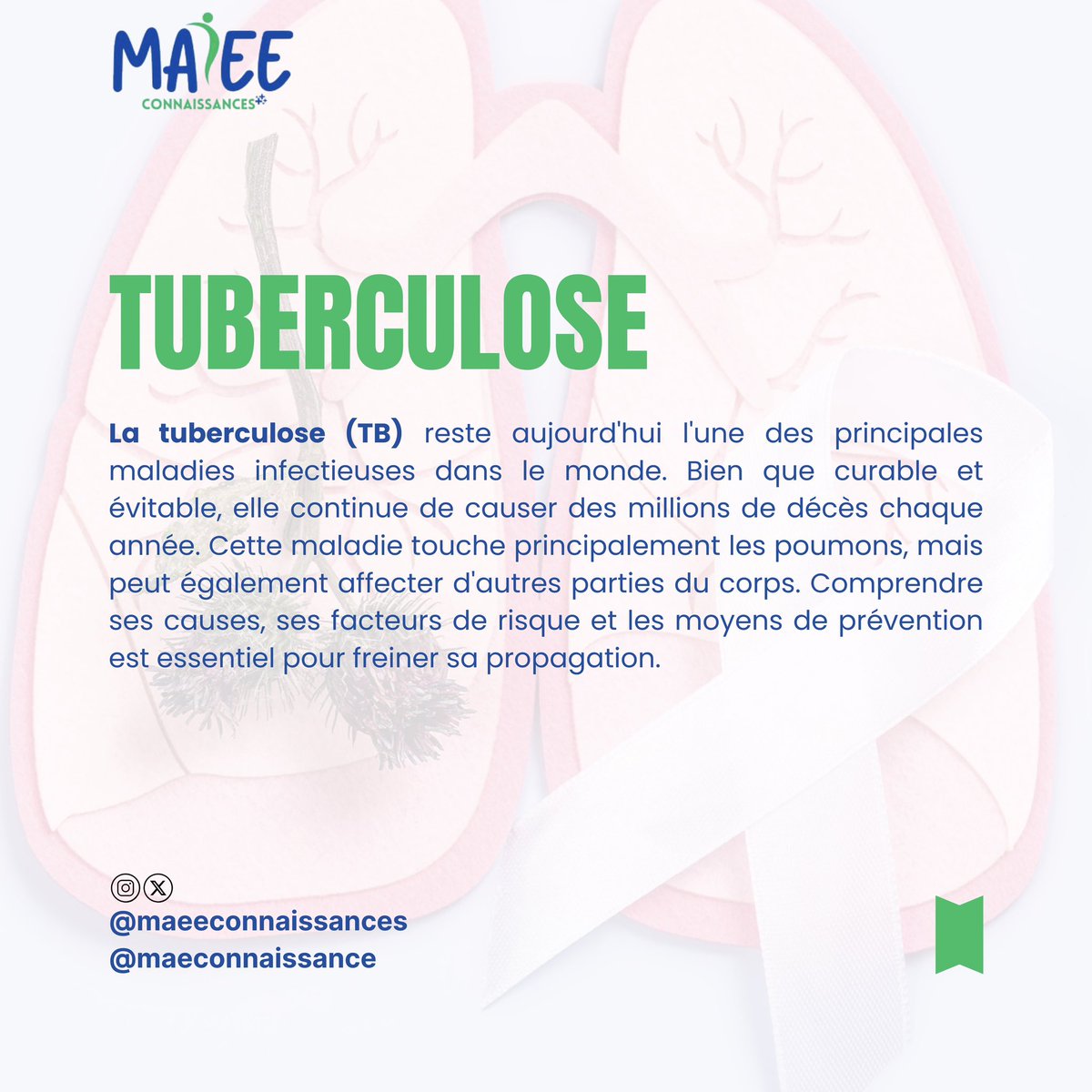 maeconnaissance's tweet photo. La tuberculose (TB) reste aujourd'hui l'une des principales maladies infectieuses dans le monde. https://t.co/9n0ZMM9HCP