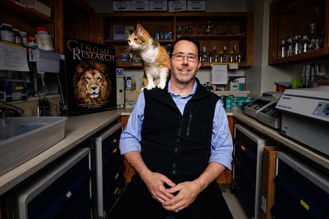 Texas A&M VetMed tweet media