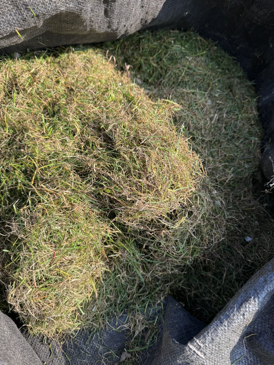 DH_Maintenance's tweet image. An afternoon in #sunshine so great to have @AllettMowers Classic back out with #scarifier #cartridge still amazes me how much #thatch as well as #moss it gets out👍Will do  #grass a #world of #good more to do before feed looking so much better👍 have a good evening everyone ❤️