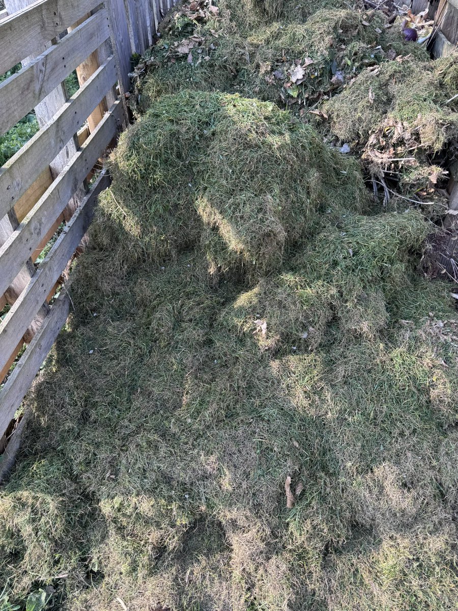 DH_Maintenance's tweet image. An afternoon in #sunshine so great to have @AllettMowers Classic back out with #scarifier #cartridge still amazes me how much #thatch as well as #moss it gets out👍Will do  #grass a #world of #good more to do before feed looking so much better👍 have a good evening everyone ❤️