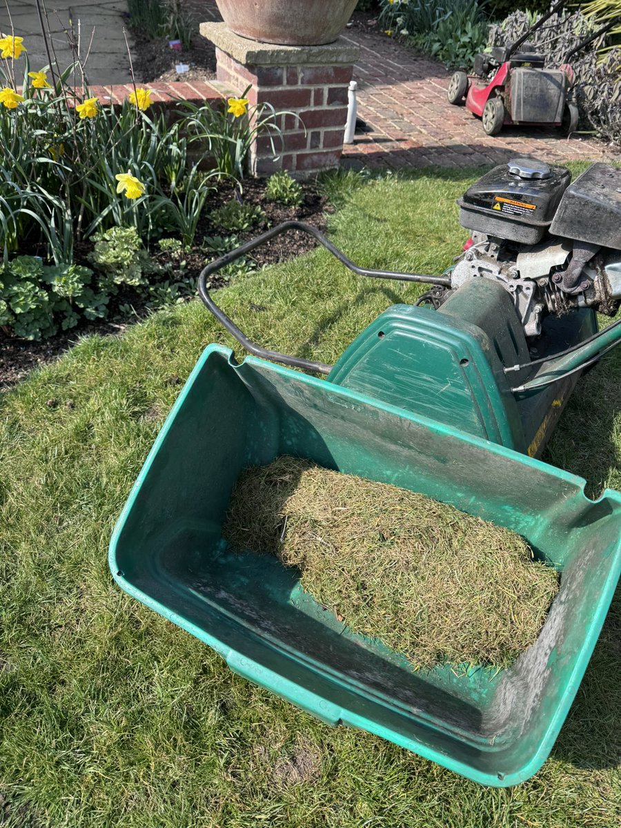 DH_Maintenance's tweet image. An afternoon in #sunshine so great to have @AllettMowers Classic back out with #scarifier #cartridge still amazes me how much #thatch as well as #moss it gets out👍Will do  #grass a #world of #good more to do before feed looking so much better👍 have a good evening everyone ❤️