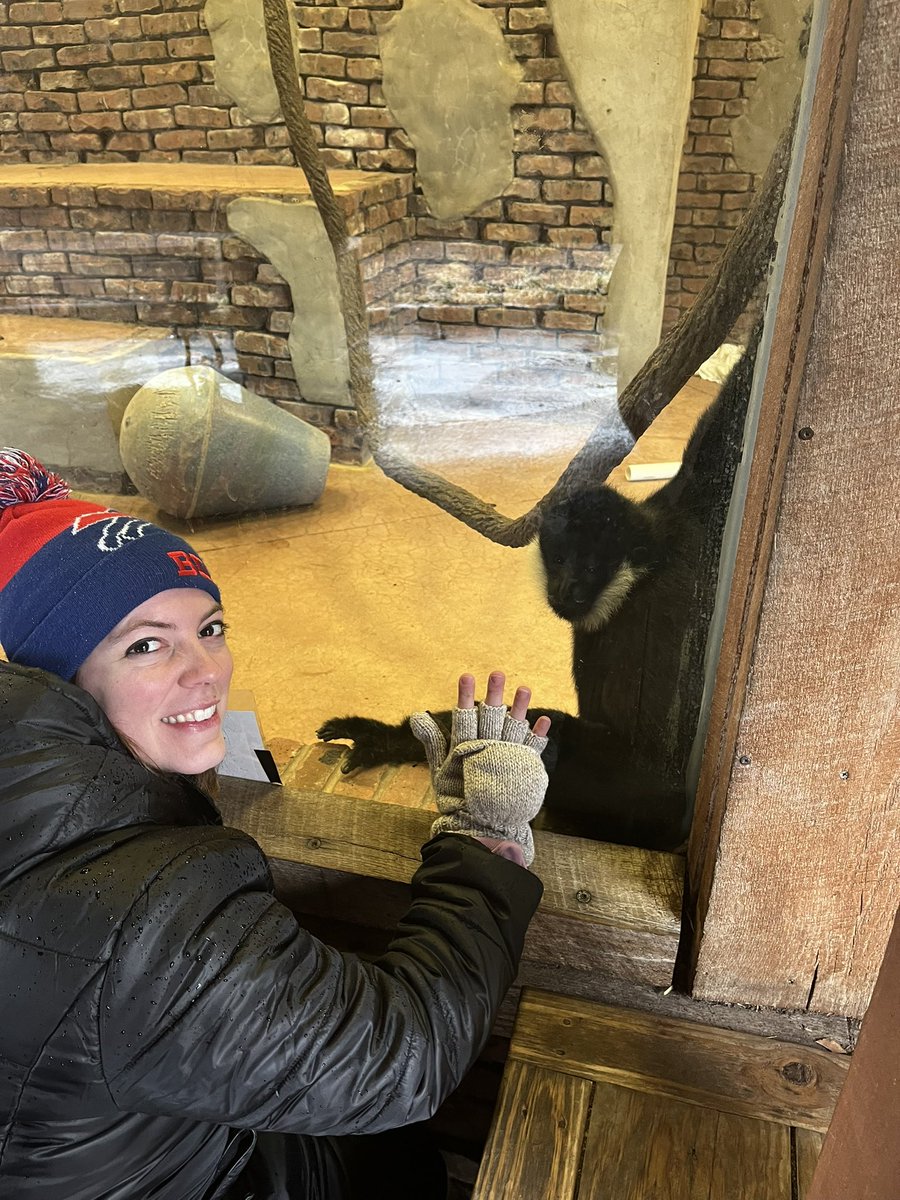 First stop, Turtle Back Zoo, Principal Atkinson made friends with the Monkey 🐒