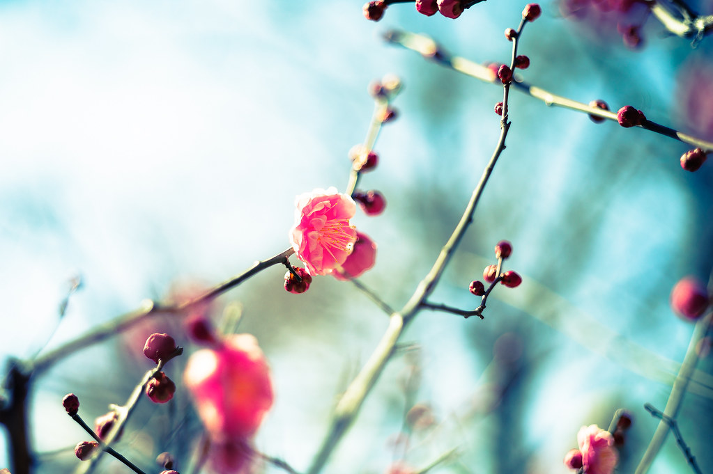 Monica AS tweet media