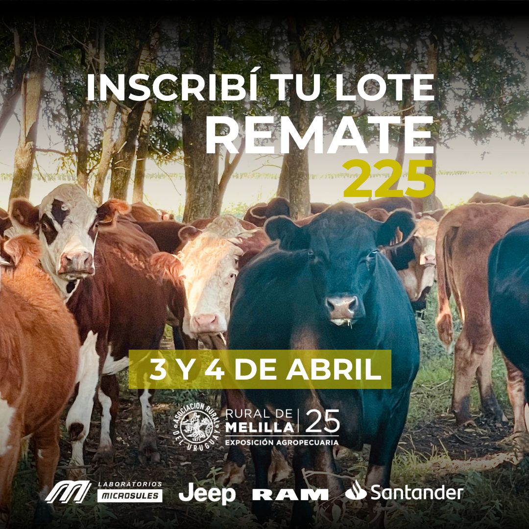 El sector agropecuario en nuestro país es una red de rubros que se complementan y enriquecen mutuamente. Por eso, Lote 21 estará presente por primera vez en Expo Melilla, con nuestro Remate 225. 
El próximo 3 y 4 de abril .
Inscripciones Abiertas.
Lote 21, conectamos el campo.