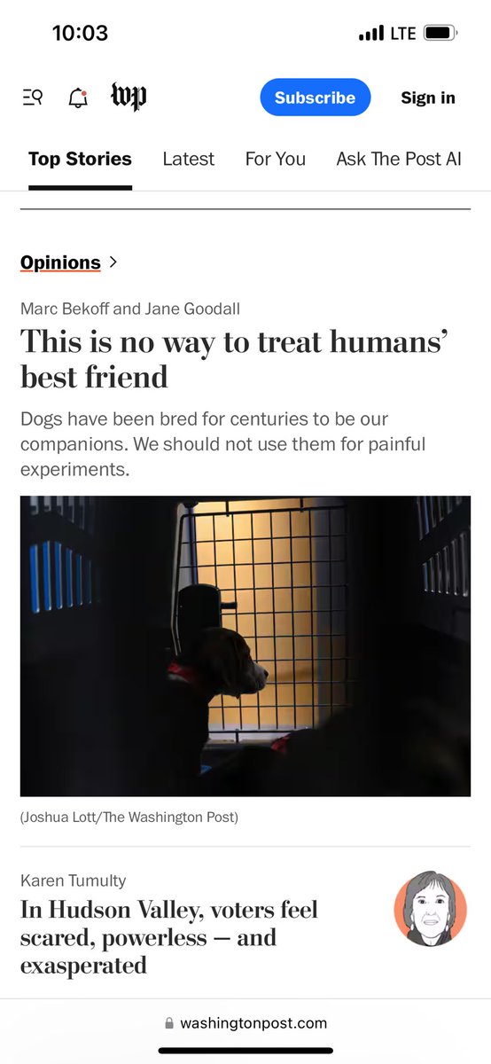 Wayne Hsiung (@waynehhsiung) on Twitter photo The top oped piece at the <a href="/washingtonpost/">The Washington Post</a> is calling for an end to dog experiments, citing evidence our rescue team obtained at Ridglan Farms.
This is the beginning of the end, not just for dogs, but for all the tortured beings in labs. The top oped piece at the <a href="/washingtonpost/">The Washington Post</a> is calling for an end to dog experiments, citing evidence our rescue team obtained at Ridglan Farms.
This is the beginning of the end, not just for dogs, but for all the tortured beings in labs.