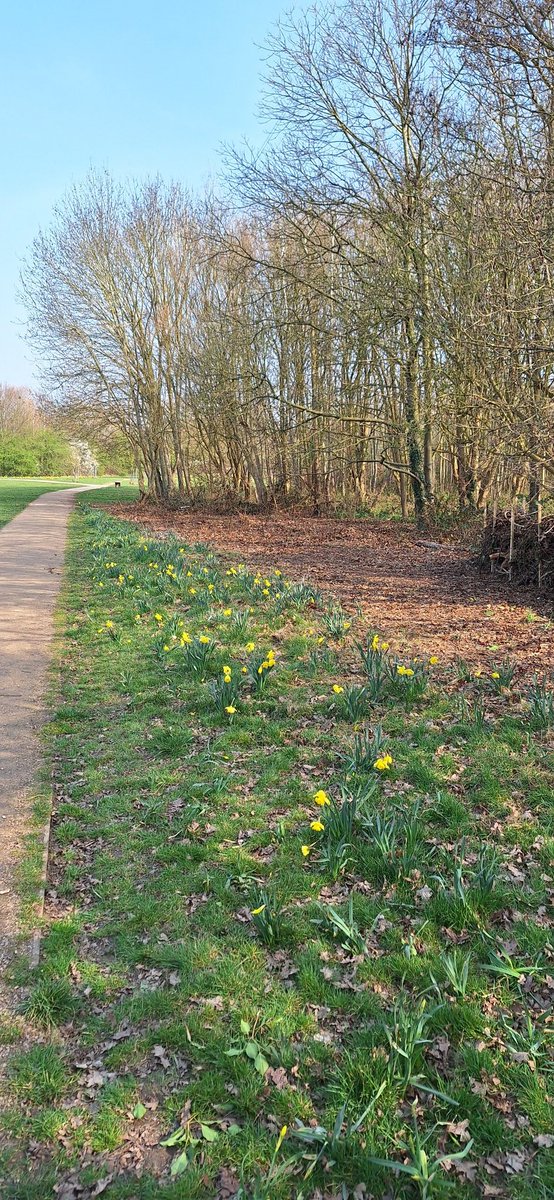Quick break from work to recharge my batteries and enjoy the spring sunshine and local greenery.
#HappyMonday