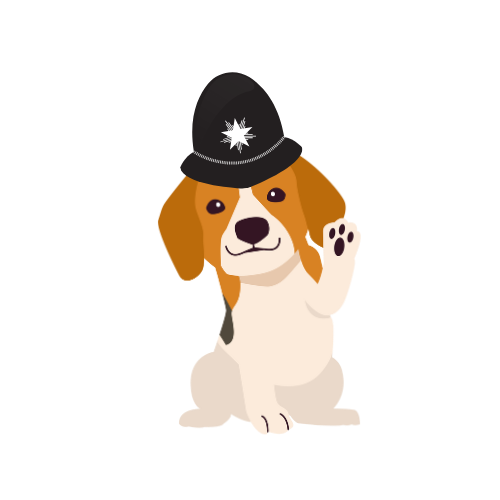 Feedback from the Mini Police themselves:
“I would definitely encourage my friends to do it, because it was a really good experience.”
“I found Mini Police really fun, but also engaging! It’s a great programme.”
“It was fun, but it also taught you about things at the same time.”