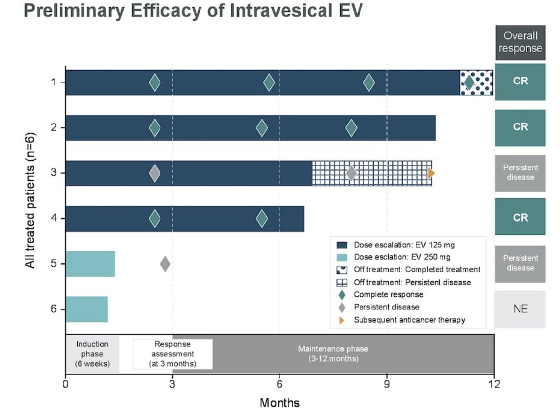 UroToday.com (@urotoday) on Twitter photo Combination therapy: Systemic vs intravesical - It takes two to tango: Systemic and intravesical therapy - the ideal duo for treatment of HR-NMIBC. Presentation by <a href="/y_loriot/">Yohann Loriot</a> <a href="/GustaveRoussy/">Gustave Roussy</a>. #EAU25 written coverage by <a href="/zklaassen_md/">Zach Klaassen</a> <a href="/GACancerCenter/">Georgia Cancer Center</a> > bit.ly/41Ro0dE <a href="/Uroweb/">European Association of Urology (EAU)</a> Combination therapy: Systemic vs intravesical - It takes two to tango: Systemic and intravesical therapy - the ideal duo for treatment of HR-NMIBC. Presentation by <a href="/y_loriot/">Yohann Loriot</a> <a href="/GustaveRoussy/">Gustave Roussy</a>. #EAU25 written coverage by <a href="/zklaassen_md/">Zach Klaassen</a> <a href="/GACancerCenter/">Georgia Cancer Center</a> > bit.ly/41Ro0dE <a href="/Uroweb/">European Association of Urology (EAU)</a>