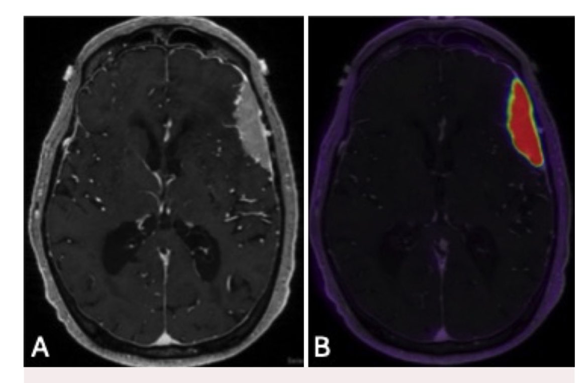 Jana Ivanidze tweet media