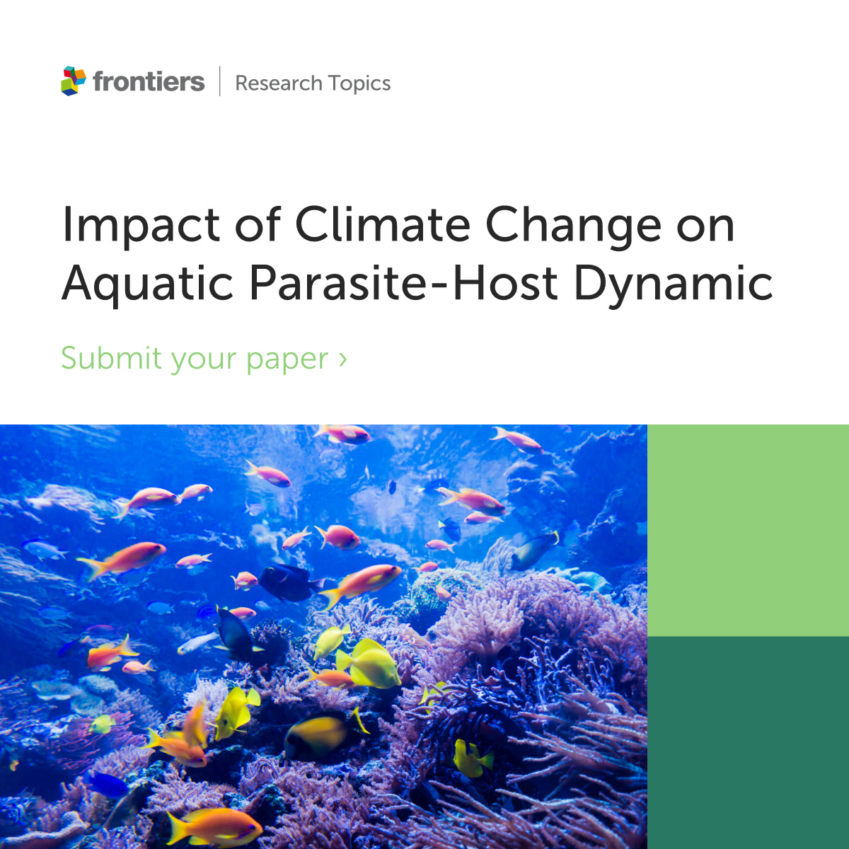FrontVetScience's tweet image. 🚨 Deadline approaching!

📅 30 May 2025

📖 Still two months to submit your manuscript to our Research Topic on "Impact of Climate Change on Aquatic Parasite-Host Dynamic".
#Veterinarians #veterinarymedicine #researchers 

Find out more 👉fro.ntiers.in/65110