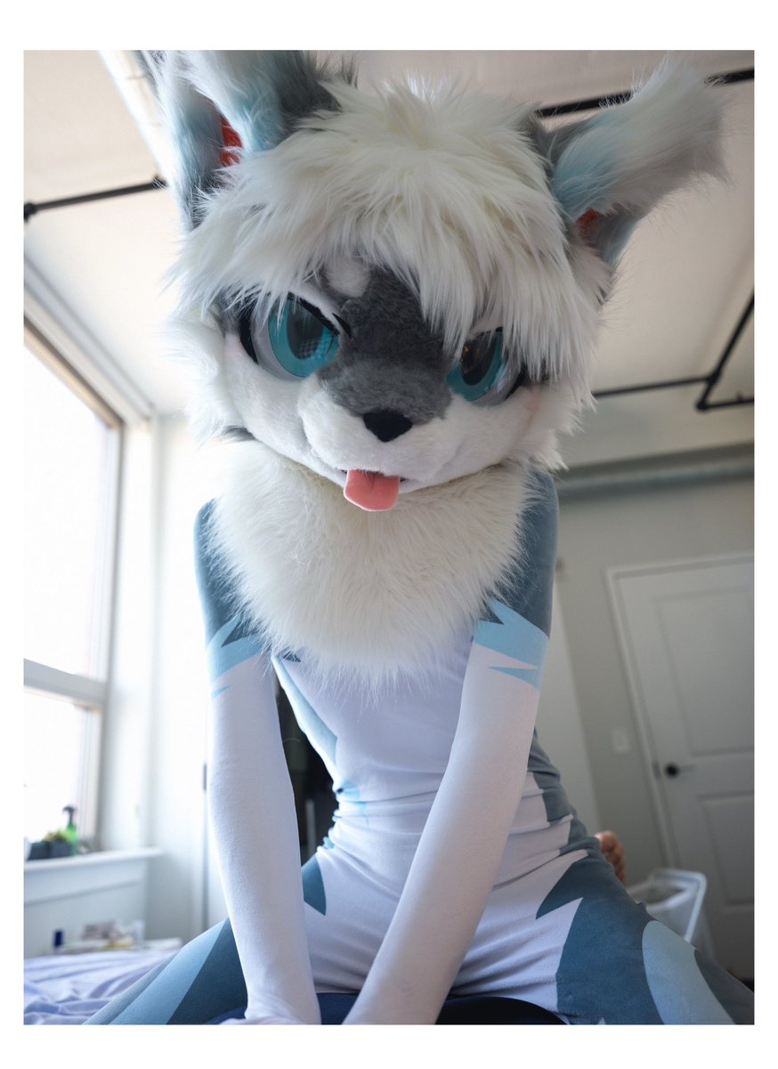 客人 对我的按摩还满意嘛？
感谢<a href="/Pidandan__OvO/">EggEgg～</a> 大摄影师拍的我

#Fursuit #FursuitEveryday