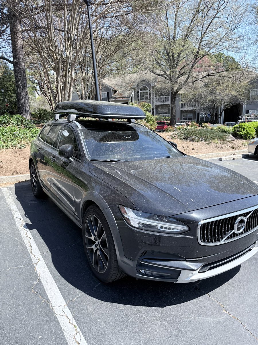 It’s the season for tree cum on the cars 🙃