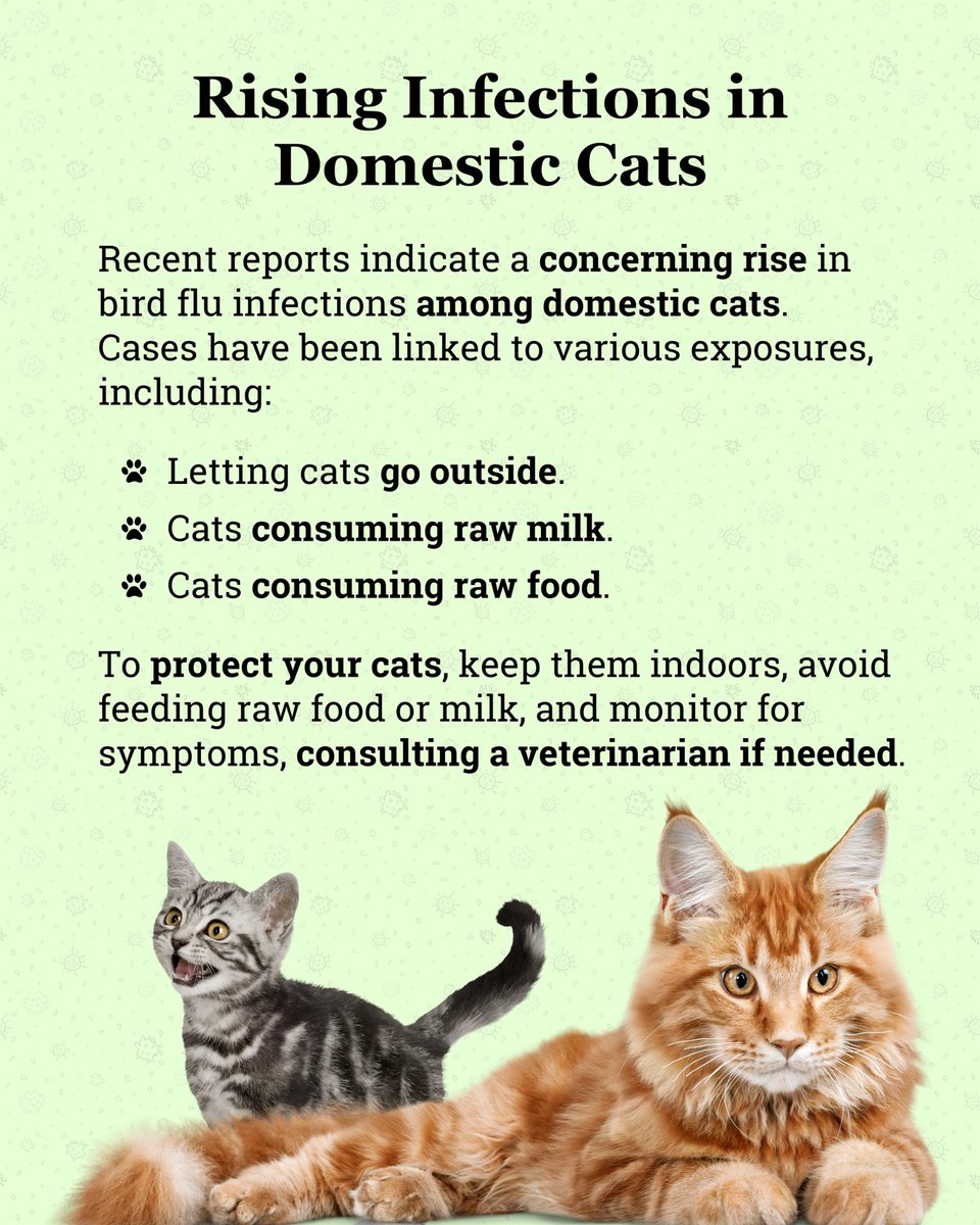 🦠 Bird Flu Update: New research highlights evolving risks of bird flu, including potential impacts on pets and the virus's ability to mutate. Stay informed and take the necessary precautions to protect your furry friends. 🐱🚨

Read more with the link in our bio!
