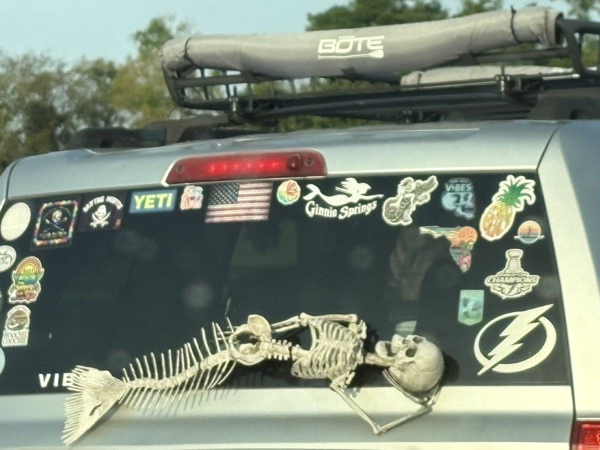 #floridalife is seeing a mermaid skeleton while driving to work