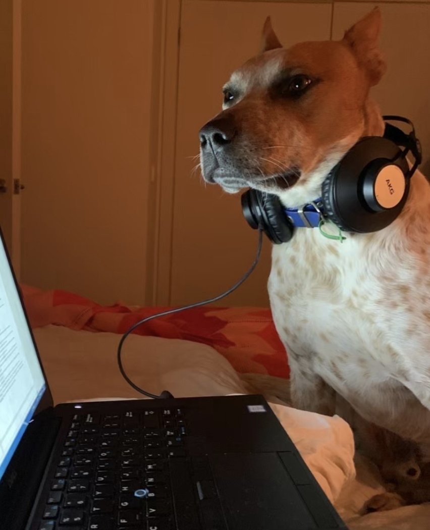 저를 충분히 보여주며 신뢰를 얻고, 선택권을 건내받아 책임과 바꾸어 목줄의 자유를 채워줄 수 있는 섭을 만날 수 있겠죠. 정신과 육체의 깊은 교감은 쉽게 얻어지는게 아닌만큼, 제 페이스대로 느긋하게 갈렵니다. 모두들 좋은 인연 만나시길 빕니다.
#에세머트친소 #에세머_트친소 #주인님