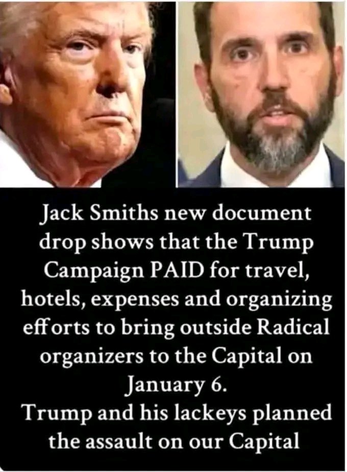 Optimistic Lizard 🌊proud to be a LIBERAL (@rex197878) on Twitter photo 