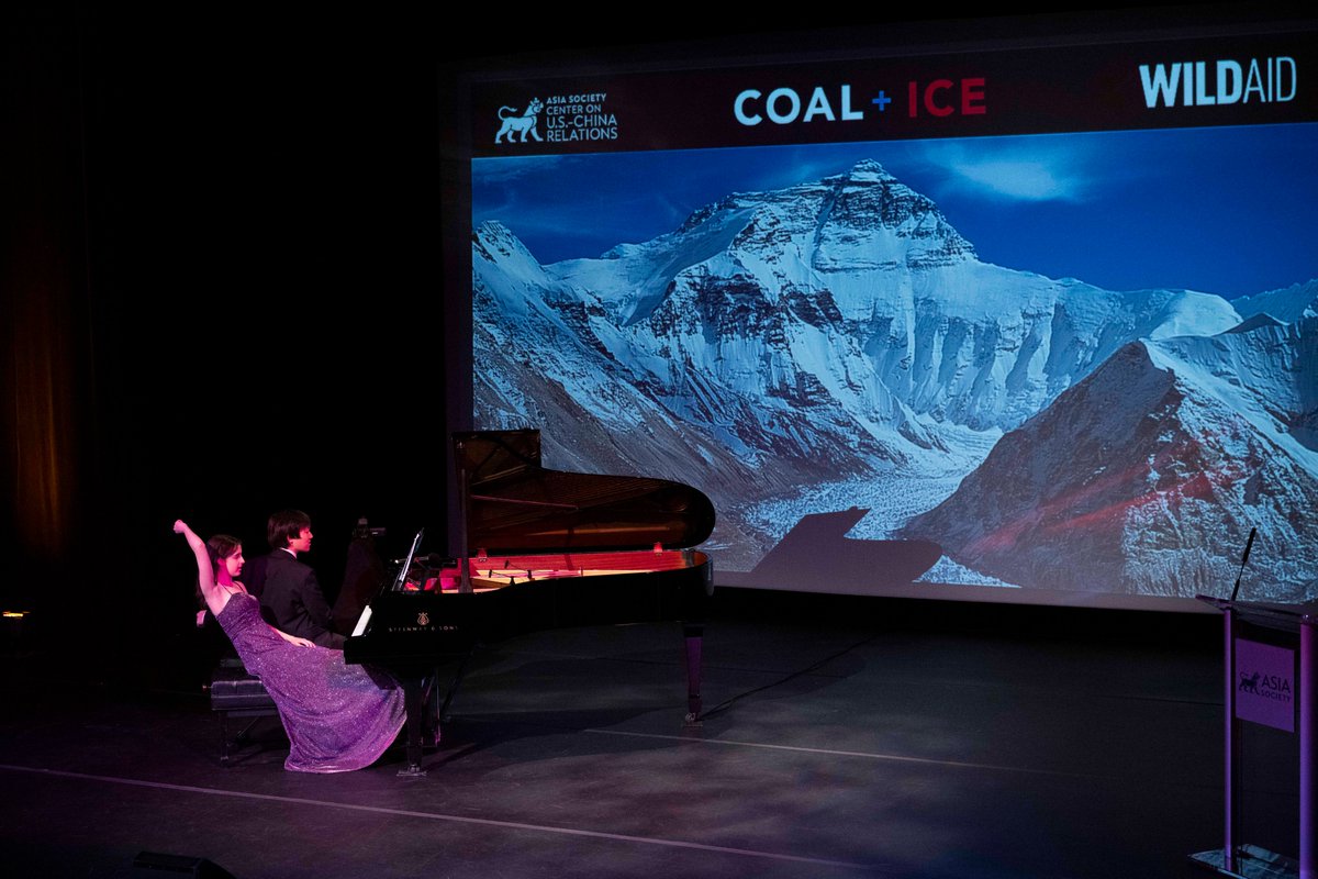 LLIMF's tweet image. A wonderful evening at the @AsiaSocietyNY in NYC for @WildAid earlier this month 💫Young Scholars Anna Kesselman and Taige Wang performed alongside @lang_lang who is an ambassador of the charity 🎹#WildAid