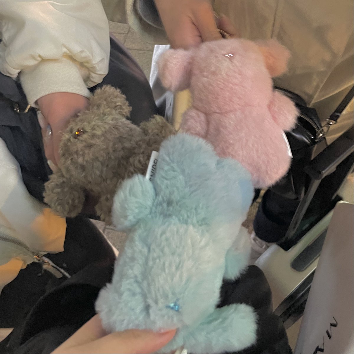 今日(日付変わっちゃった😖)のまろごまくう！！！ダンスレッスンと生誕祭準備したよっ🐶🐱