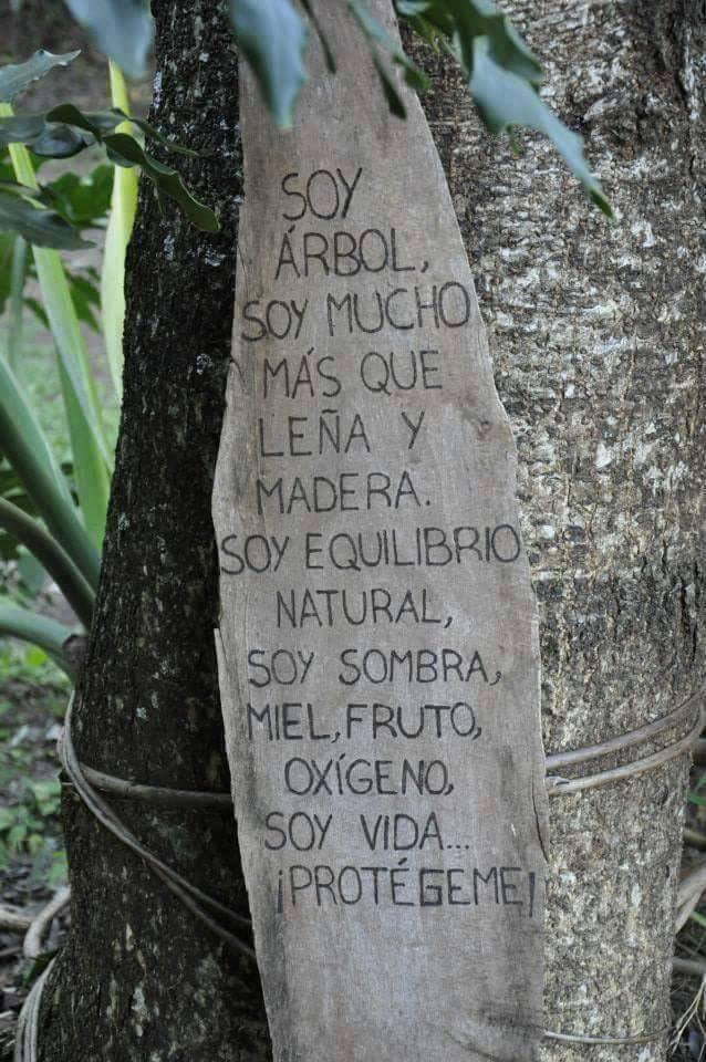 consuelito4's tweet image. 