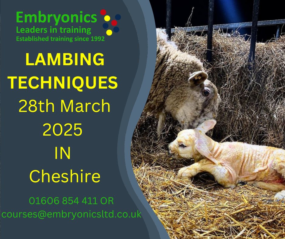 Embryonics CPD tweet media