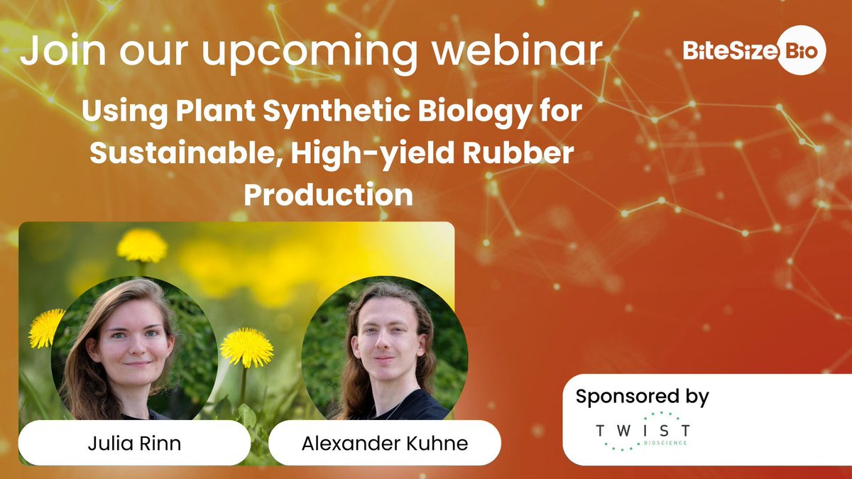IBioIC's tweet image. Webinar: Using Plant Synthetic Biology for Sustainable, High-Yield Rubber Production 🌱

📅 Thursday 3 April 2025
⏰ 3:30 – 4:30 pm
📍 Online 

Find out more 👇 
buff.ly/hLChH3Y 

#SyntheticBiology #SustainableInnovation #RubberProduction #Biotech #Webinar