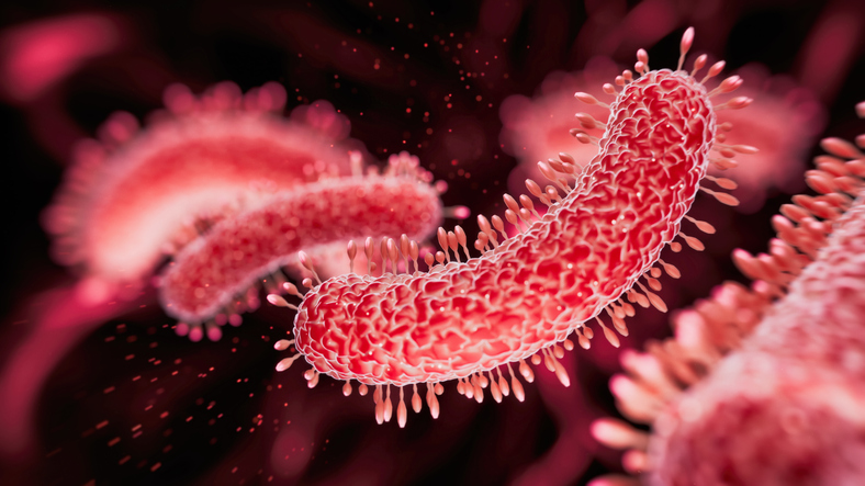 On World TB Day, we shine a light on the deadliest infectious disease in the world. Caused by Mycobacterium tuberculosis, it has been around for centuries. Learn more about this disease and why it’s making a resurgence now: bit.ly/4iAX6ho