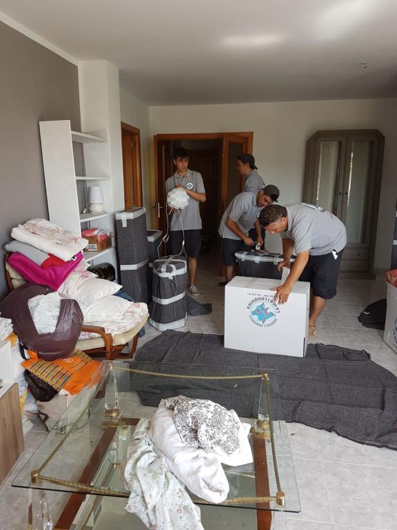 Buenas, os habla el artista de gráficos de top 8 mallorquín, llevo 21 años en la industria y 4 de carrera. Y recientemente gracias a Jotan y su gráfico hecho con IA, no me han llegado los encargos suficientes para mantener el alquiler. Estoy devastada.
Busco casa en Son Vida.