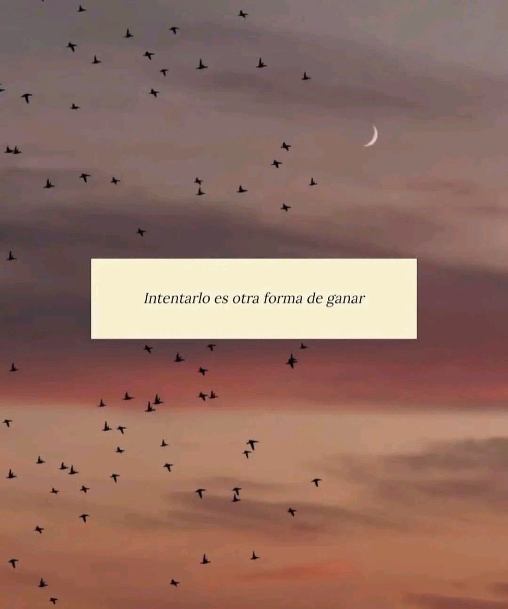 nación (@escritosnacion) on Twitter photo 