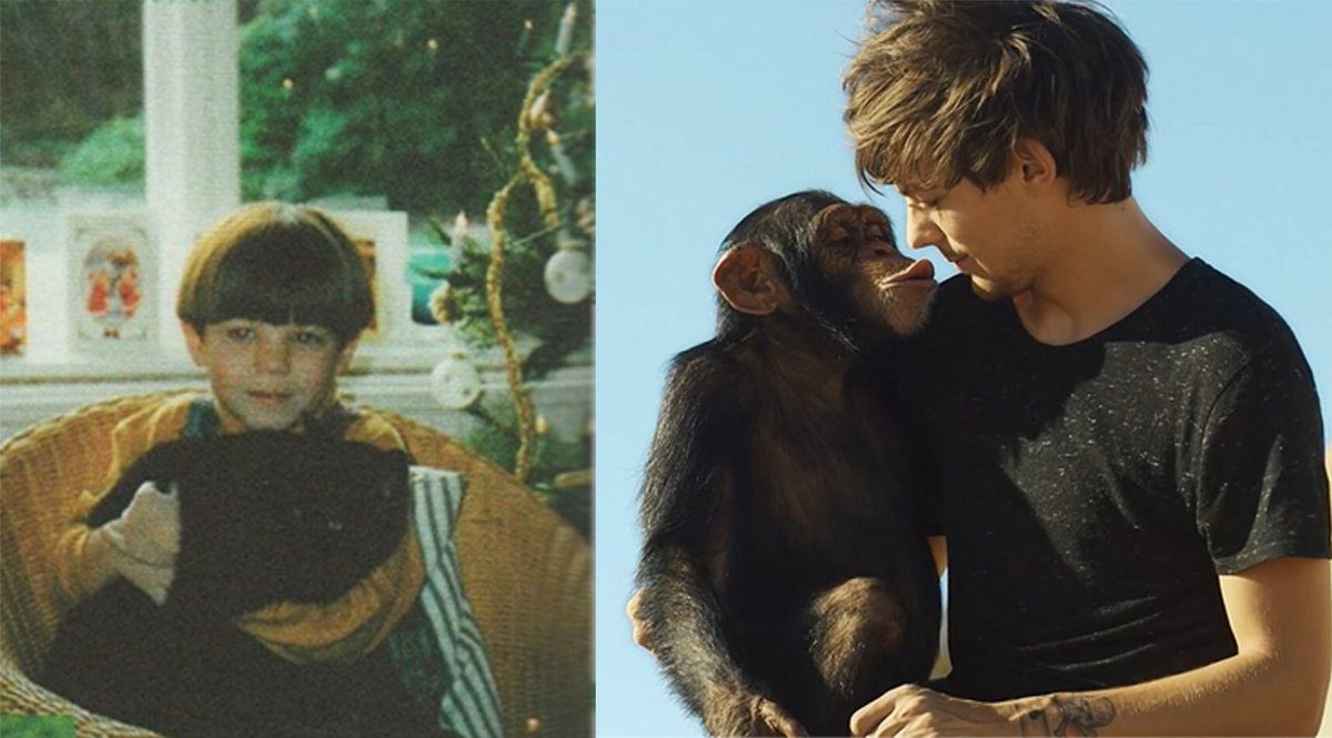 dressltwt's tweet photo. louis tomlinson and his love for animals: a very long and cute thread <3 https://t.co/CxzawgVrnc