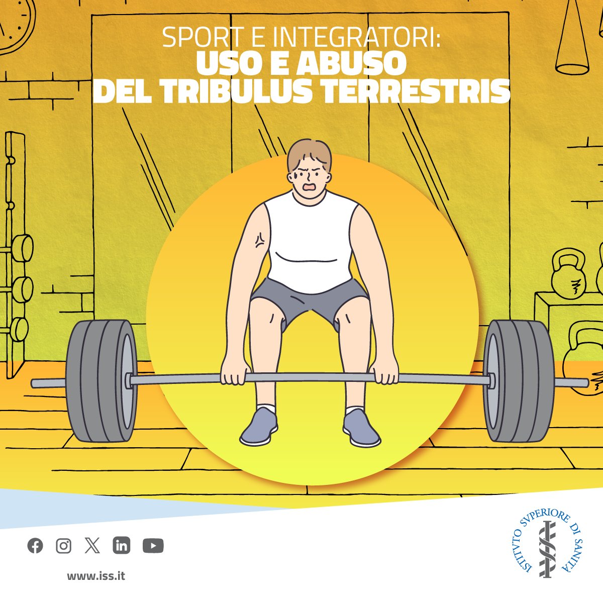 istsupsan's tweet photo. #Tribulusterrestris: un #integratore che pur non essendo classificato come sostanza dopante, è molto diffuso tra gli sportivi perché si ritiene possa aumentare la forza e i livelli di #testosterone. E' davvero così?
🎥Guarda il video: https://t.co/qfpNkjNRTq
#iss https://t.co/CjUYLfpUzM