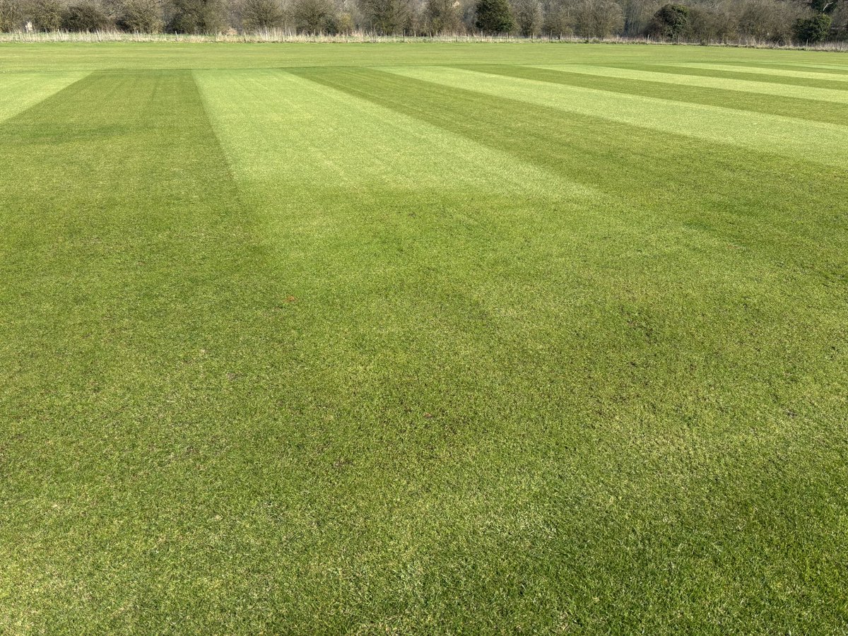 Overseeding some ends with <a href="/MM_Seed/">MM Seed</a> MM50 and getting some much needed moisture on at <a href="/TerlingCC/">Terling Cricket Club 🏏</a>