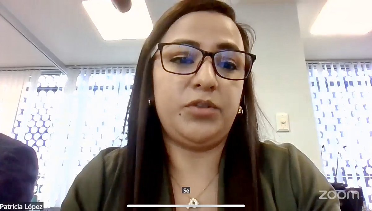 Comisión de Transparencia, Participación Ciudadana on X: Patricia López,  asesora de la Comisión, da lectura al borrador del informe en relación a la  Resolución RL-2023-2025-122. t.coaCTNdlQ6P0  X