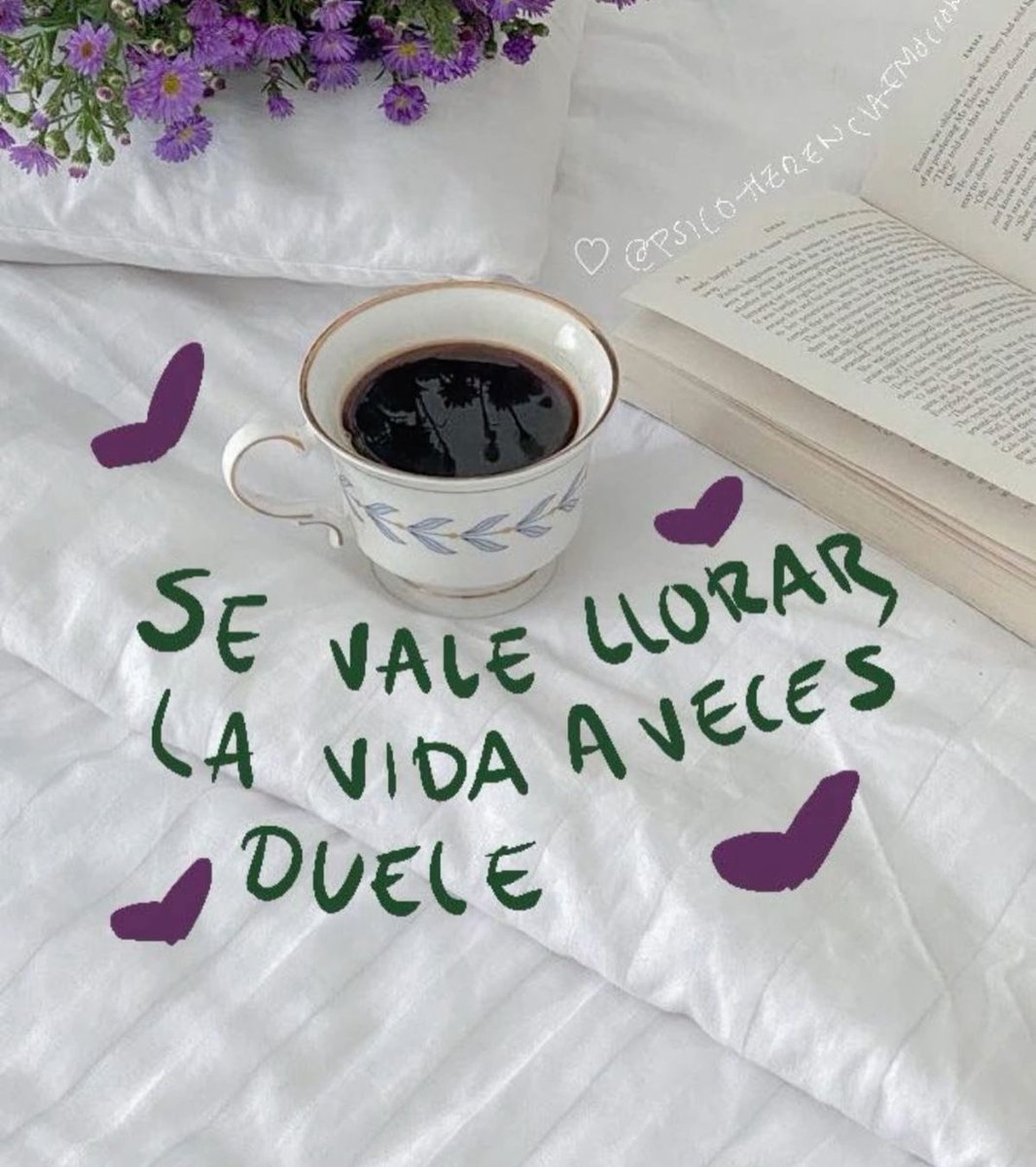 nación (@escritosnacion) on Twitter photo 