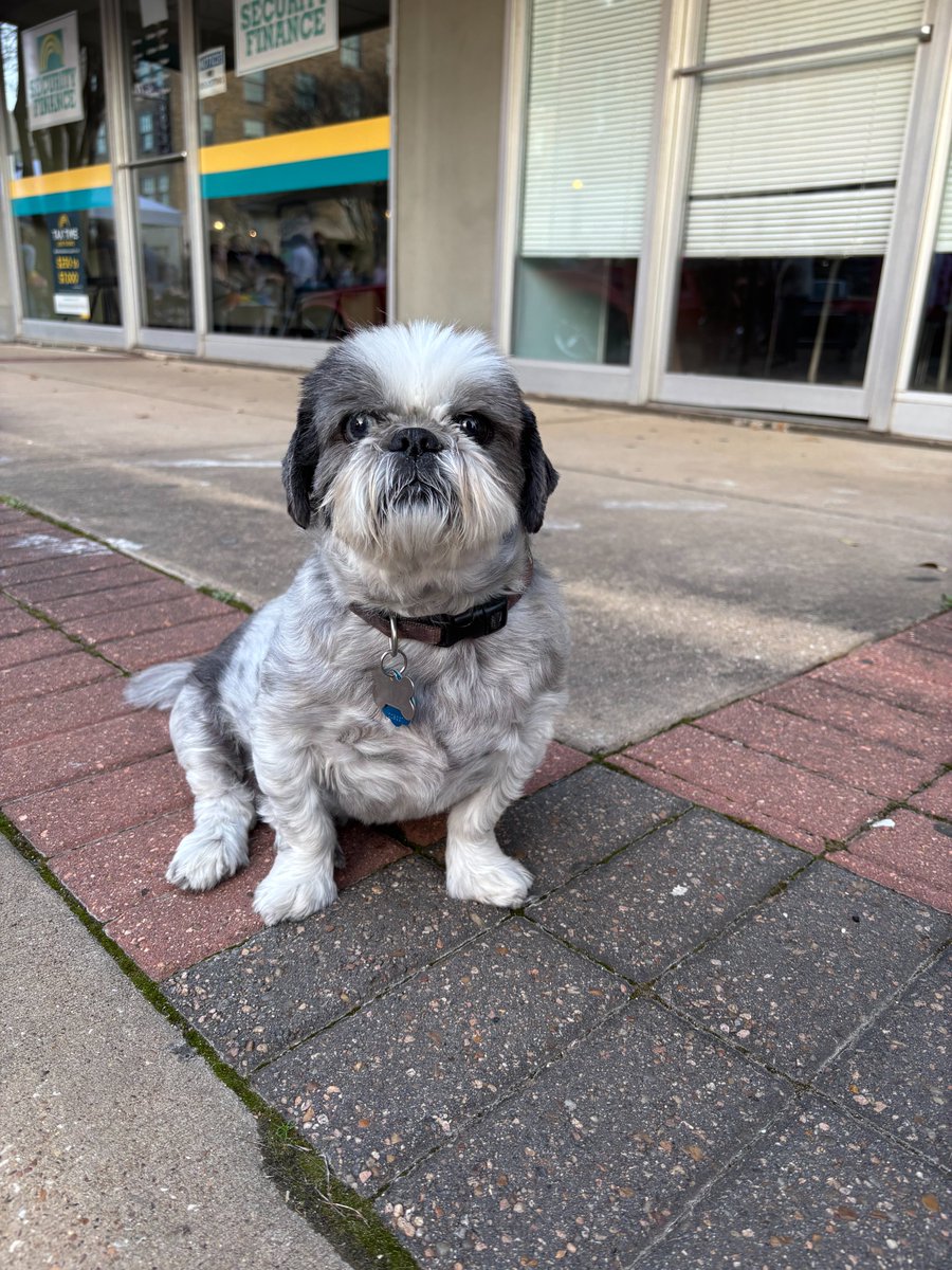 History at TAMU tweet media