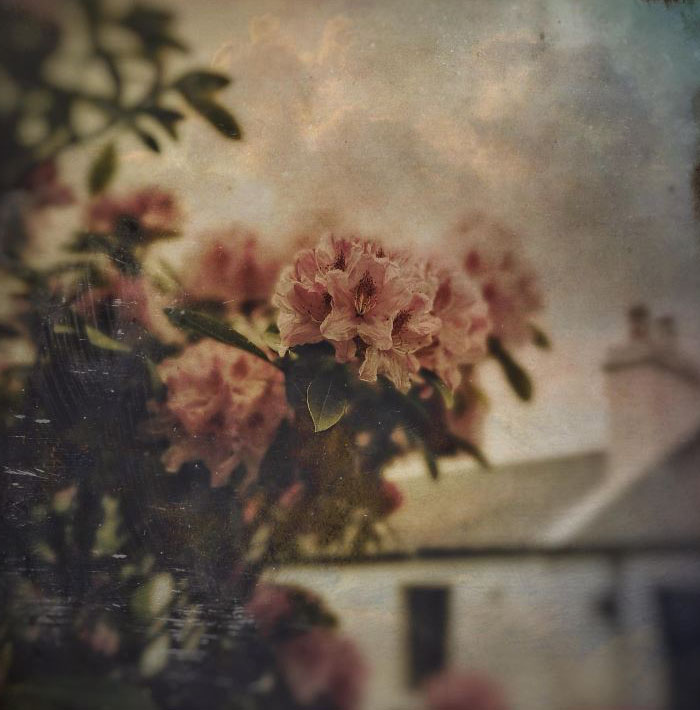 madrugada_m's tweet image. Es gibt eine Sehnsucht,
die nichts von sich weiß. 
Erst wenn man sich ihr überlässt, 
erfährt man, wohin sie einen
haben will.

Martin Walser
aus: Muttersohn
24.03.1927 - 26.07.2023