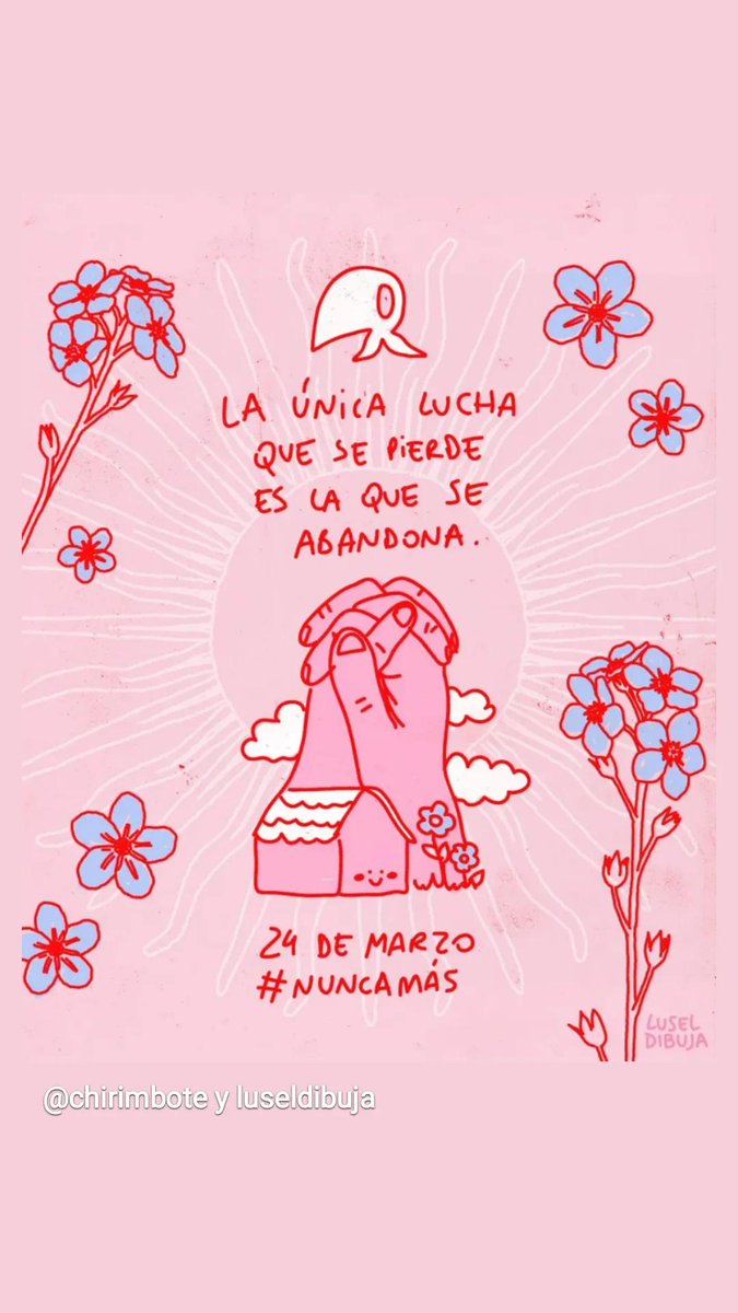 Valeria Di Toto tweet media