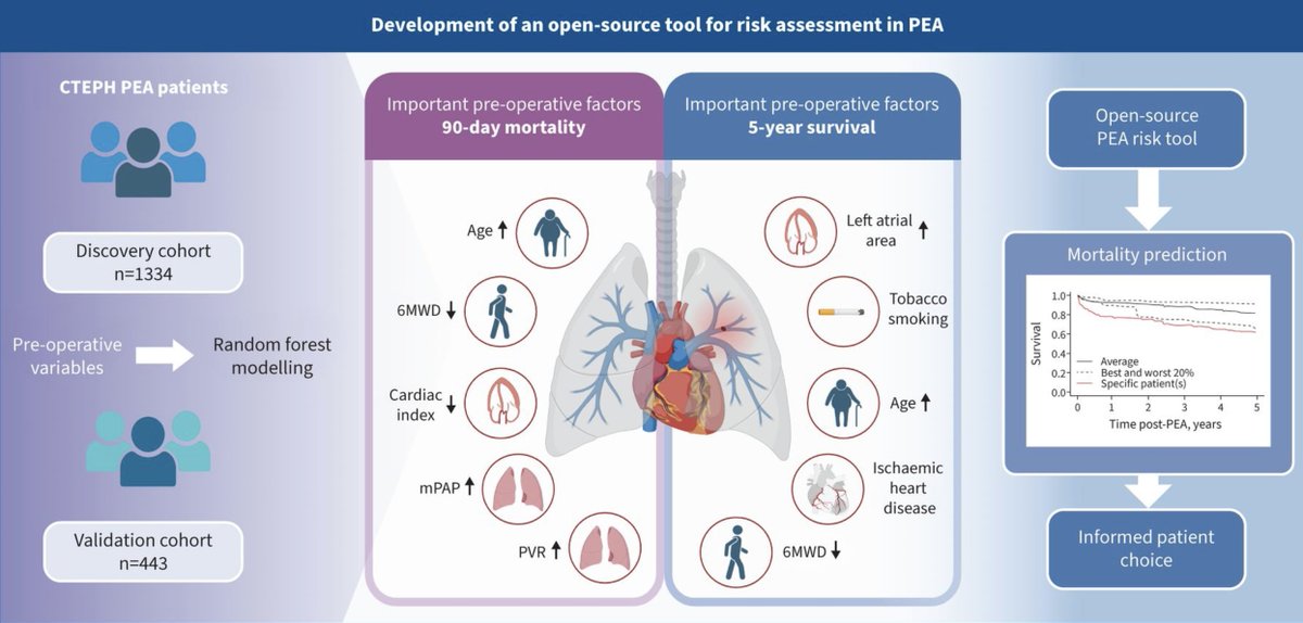 New tool for risk assessment in pulmonary endarterectomy in CTEPH! 
Disease-specific and more accurate than EuroSCORE II. Age, 6mWT, mPAP, CO, and PVR are risk factors for early mortality.Non-PH risk factors like HF, smoking,IHD, age predict 5 yrs survival publications.ersnet.org/content/erj/65…