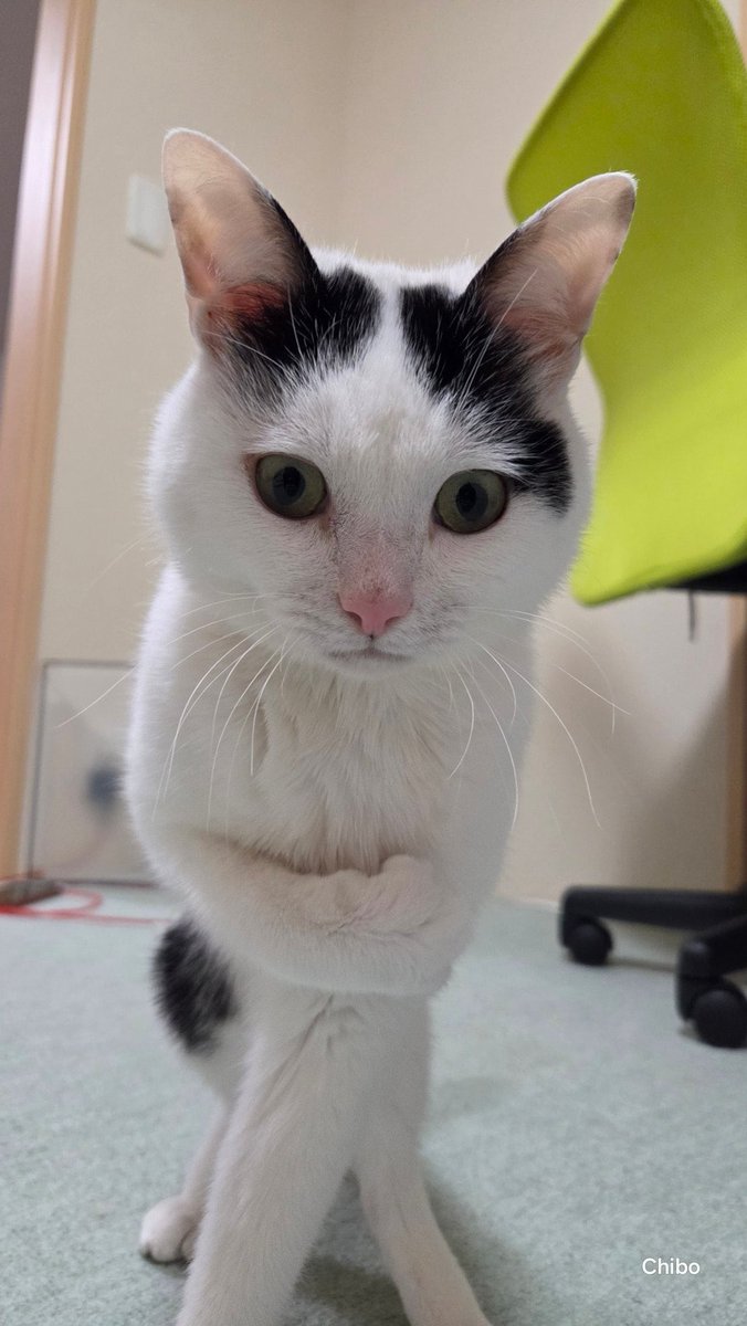 윌도 (@weird0idioteque) on Twitter photo 