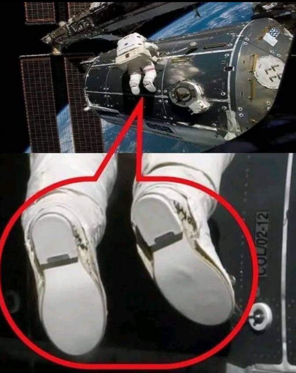 Concerned Citizen tweet media