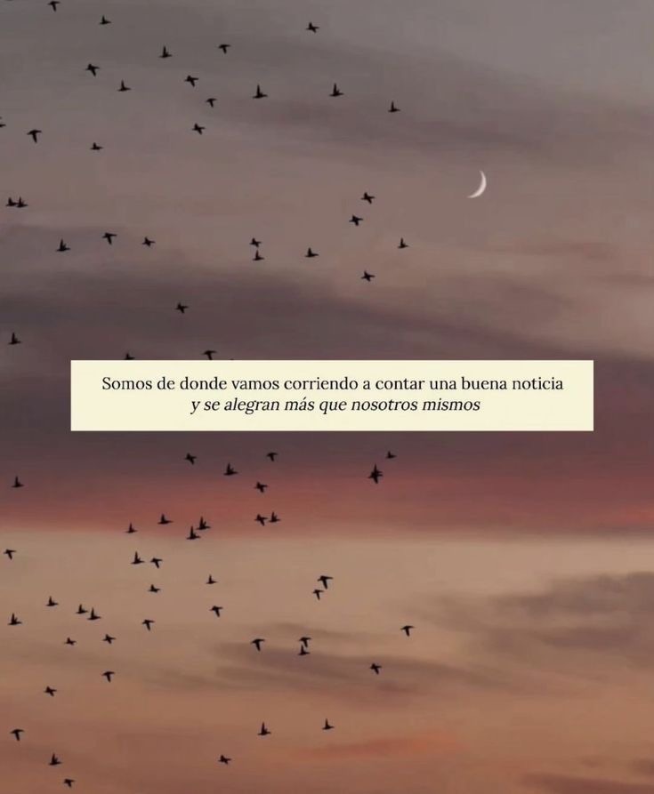 nación (@escritosnacion) on Twitter photo 